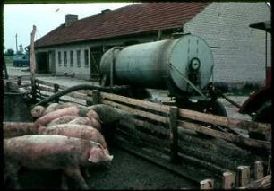 Befüllung von Vakuumfutterautomaten mittels eines Tankwagens in der LPG Knoblauch