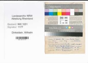 Entnazifizierung Wilhelm Dinkeldein , geb. 13.09.1899 (Elektriker)