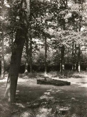 Grab Heinrich Cottas unter den von seinen Schülern zu seinem 80. Geburtstag gepflanzten 80 Eichen im Wald bei Tharandt