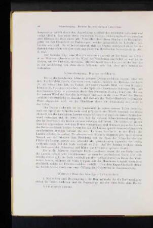 Schneckengang, Ductus cochlearis.