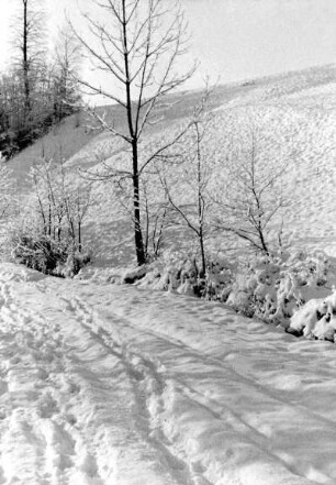 Röhrsdorf, winterlicher Mühlengrund mit der Rietzschke