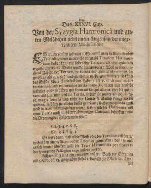 Das XXXVI. - XXXX. Cap.