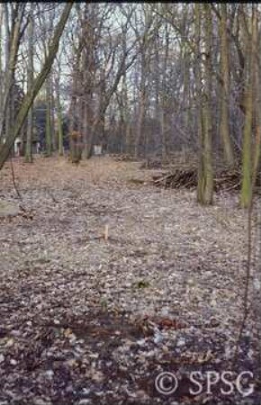 Potsdam, Park Sacrow.