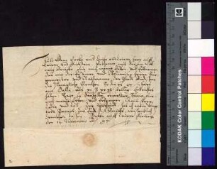Adam Berka von Duba auf Böhmisch Leipa (Leippen) und Bürgstein (Birckstein) bestätigt Bürgermeister und Rat der Stadt Bautzen den Empfang der königlichen Jahrrente, die zu Galli 1597 zu entrichten war.