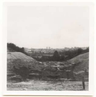 Grünflächenplanung Wirsitz: Landschaft