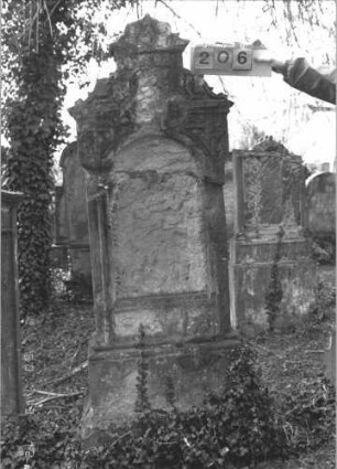 Grabstein 206 (Index: 99786012) Zustand: Vorderseite: vollständig abgeblättert, Rückseite: z. T. Maße HxBxT: 203x70x24 cm: Grabstein 206