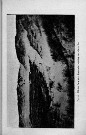 Fig. 31.