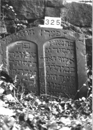 Grabstein 325 (Index: 100113291) Material: Sandstein Zustand: eingesunken Maße HxBxT: 76x78x7 cm Besonderheit: kulturhistorisch wertvoll / hist.-wiss. Gründe; - Doppelgrab: Grabstein 325