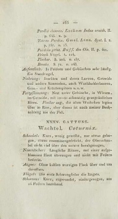 XXXV. Gattung. Wachtel. Coturnix