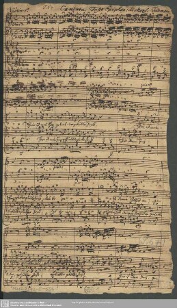 [Duetto]: Hier ist mein Herz geliebter Jesu