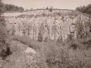Dolomitbruch Münchhof : Lommatzscher Pflege. Dolomitbruch Münchhof. Ostteil des aufgegebenen Dolomitbruches am Eichberg (Profil Grubenwand)