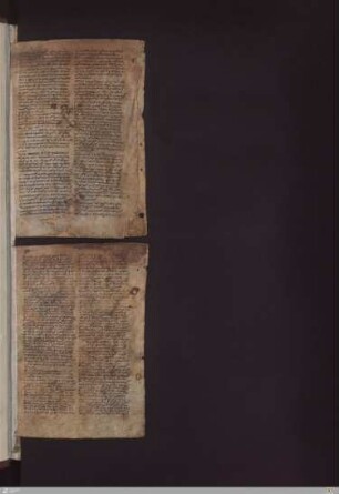 Hippokrates: Prognostica, 13. Jh.
