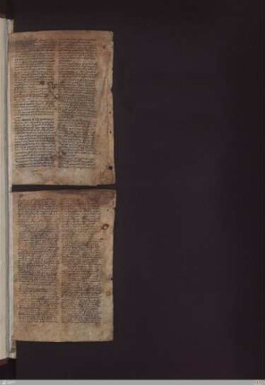 Hippokrates: Prognostica, 13. Jh.