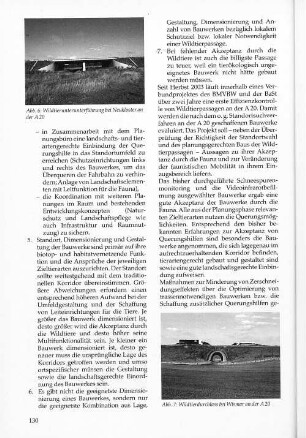 Abb. 7: Wildtierdurchlass bei Wismar an der A 20