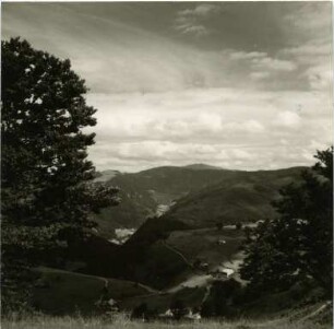 Im Hochschwarzwald