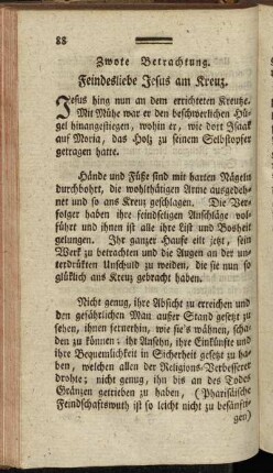 Zwote Betrachtung. Feindesliebe Jesus am Kreuz.