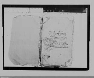 Verwaltung des Wittumsgutes der Gräfin Amalie von Nassau-Dillenburg, geborene Gräfin von Sayn-Wittgenstein