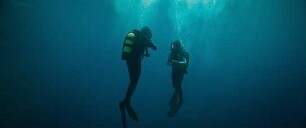 The Dive