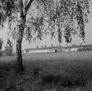 Rambin. Gebäude einer Landwirtschaftliche Produktionsgenossenschaft (LPG)?