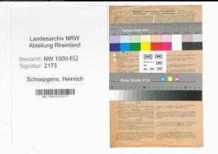 Entnazifizierung Heinrich Schoepgens, geb. 27.06.1891 (Maschinist)
