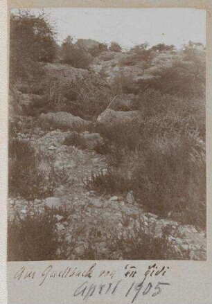am Quellbach 'en gidi [En-Gedi] April 1905