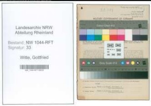 Entnazifizierung Gottfried Witte , geb. 12.07.1903 (Prokurist)