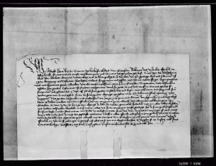 Prior Albrecht und Konvent von Güterstein, die Graf Eberhard zu Vollstreckern seines letzten Willens eingesetzt hat, übernehmen diesen Auftrag.