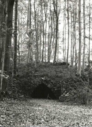 Nossen, Kloster Altzella, Kellereingang