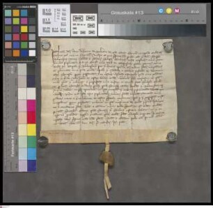Bleidensheim: Confirmatio Wernheri de Boland. Canon. Wormat. et prepositi ecclesie St. Victoris extra muros Mogunt. translationis et donatinis jur...