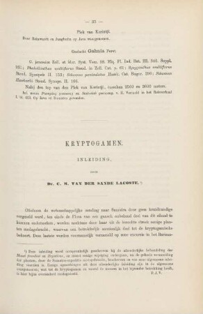 Kryptogamen