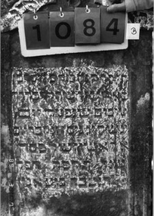 Grabstein 1084 (Index: 99753307) Material: Sandstein Zustand: leicht verwittert Maße HxBxT: 131x104x15 cm Beschreibung: Doppelstele, zwei Schriftfelder eingetieft Symbolik: zwei Muscheln, Blätter: Grabstein 1084B