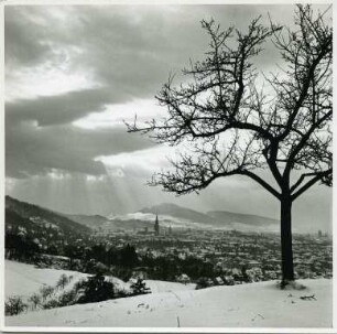 Winterstimmung in Freiburg