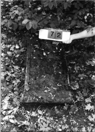 Grabstein 72 (Index: 99790607) Zustand: vollständig verwittert Maße HxBxT: 90x41xo.A. cm: Grabstein 72