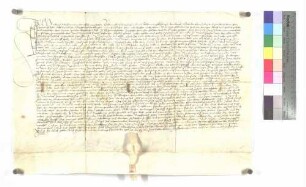 Lehenrevers Ambrosi Widenmanns über ein Gut zu Donaustetten