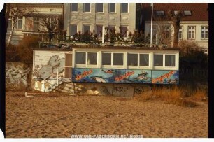 Lachse Schollen Seezungen