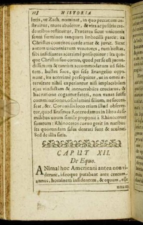Caput XII. De Equo.