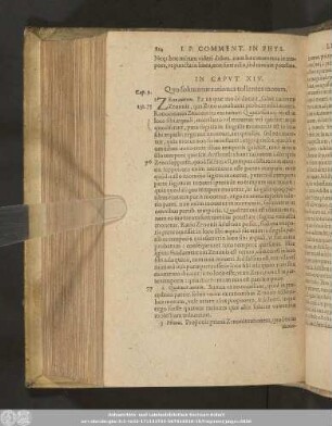 In Caput XIV. Quo soluuntur rationes tollentes motum.
