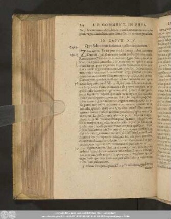 In Caput XIV. Quo soluuntur rationes tollentes motum.