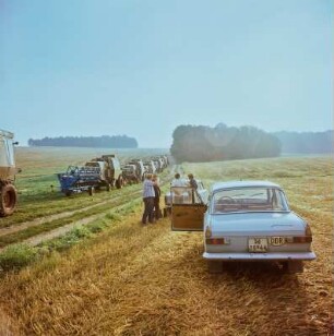 Autos auf einem Feld