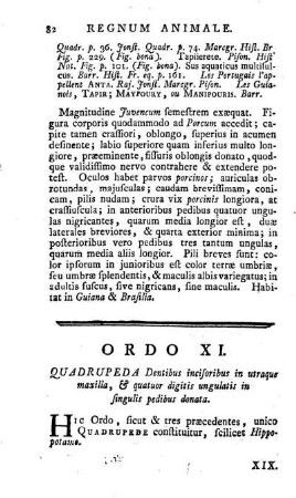 Ordo XI. Quadrupeda Dentibus incisoribus in utraque maxilla, & quatuor digitis ungulatis in singulis pedibus donata