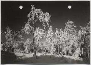 Winterlandschaft, Taunus