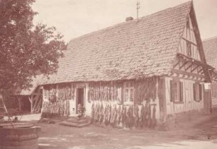 Tabak trocknen. Bauernhaus