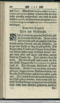 Das XXII. Capitel. Von der Gelbsucht