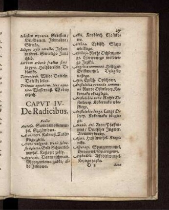 Caput IV. De Radicibus