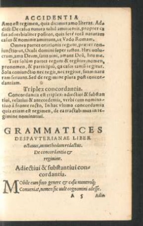 Adiectivi & substantivi concordantia.