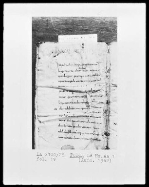 Augustinus, Sermones und anderes — Initiale D, Folio 1 verso