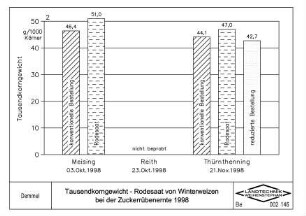 Tausendkorngewicht, Rodesaat von Winterweizen bei der Zuckerrübenernte 1998