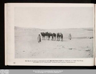 82. Bett des Oued Djedi