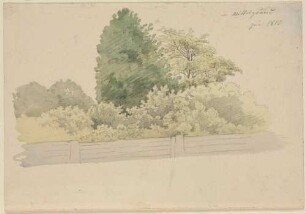 Bäume und Gebüsch hinter einem Zaun, Juni 1810