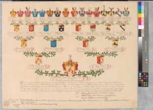 Proband: Heereman von Zuydtwyck, Theodor Joseph Ludwig Vinzenz; Vater: Heereman von Zuydtwyck, Franz Ernst; Mutter: Wrede, Maria Anna von: -